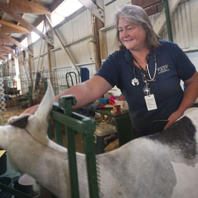 Mary Ann Haggerty